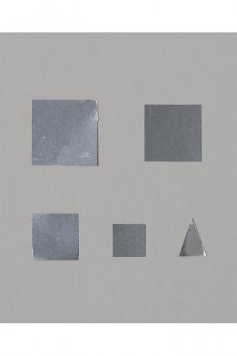 SHINKO新光电子板状分銅(微小質量)F1PS-01M